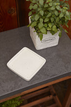 Load image into Gallery viewer, The Aroma Collection