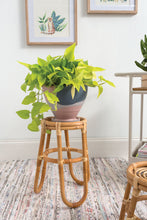 Load image into Gallery viewer, Sky Cloud Pots