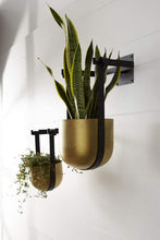 Load image into Gallery viewer, Benton Hanging Pot (2 Sizes)