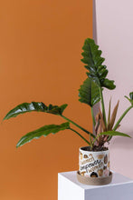 Load image into Gallery viewer, WEW (Women Empower Women) Pot