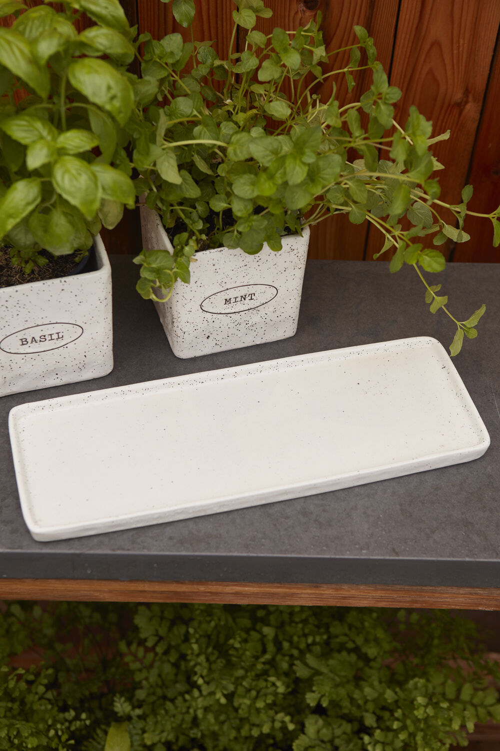 The Aroma Collection