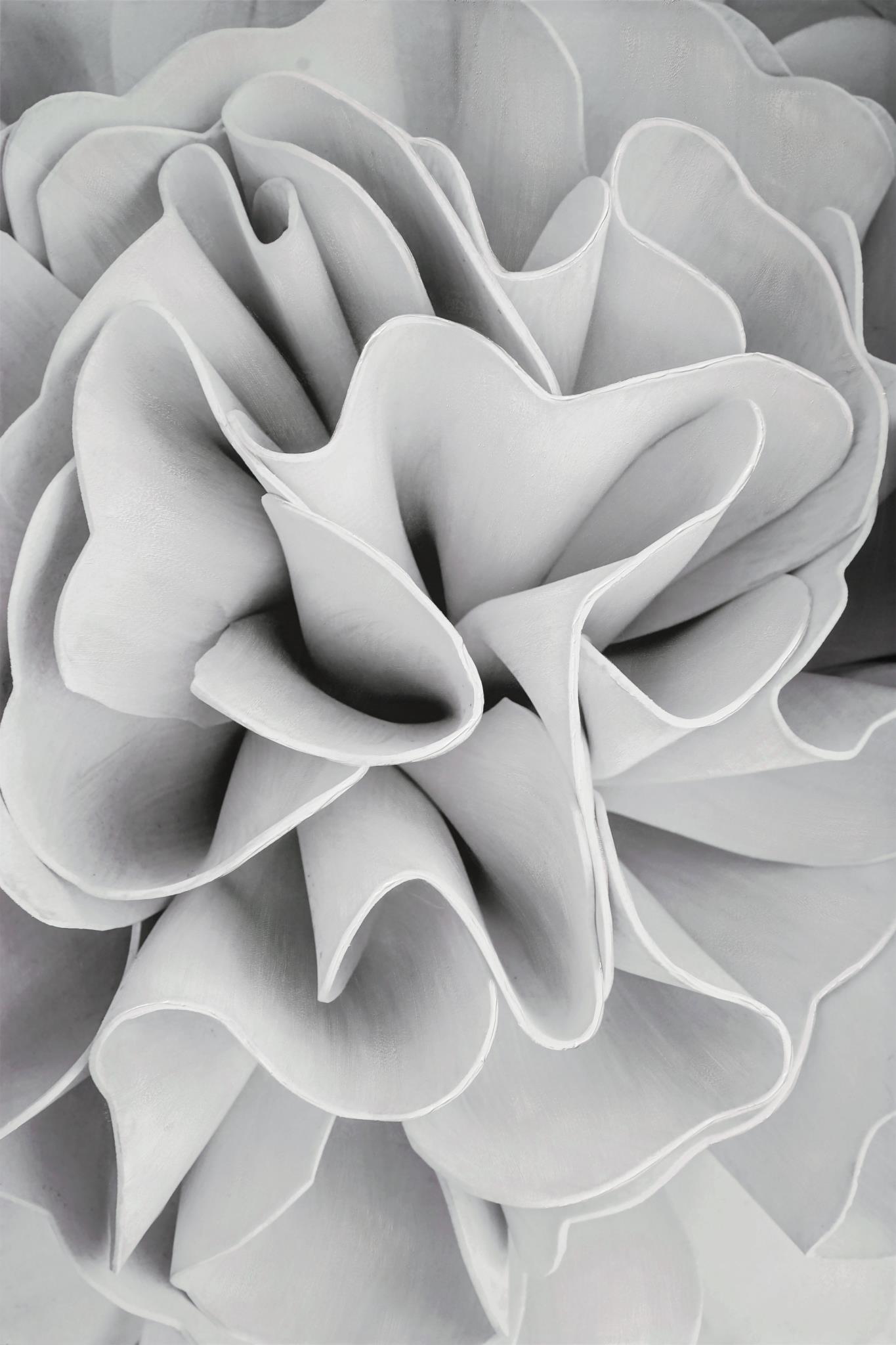 White Floral Folds (56inW x 84inH)