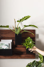 Load image into Gallery viewer, Barison Wall Planter
