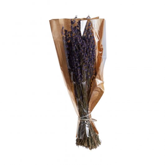 Dried Lavender-Short Stem 11.75